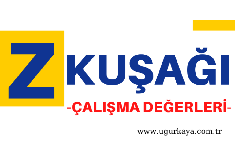 Z Kuşağı Çalışanları