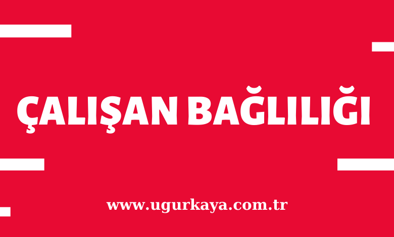Çalışan Bağlılığı