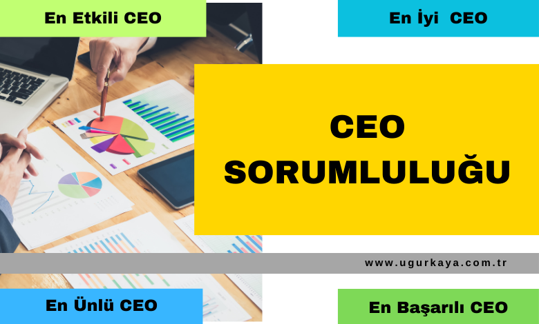 CEO Sorumluluğu