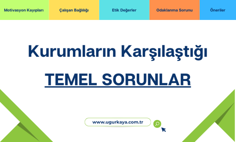 Kurumların Karşılaştığı Temel Sorunlar